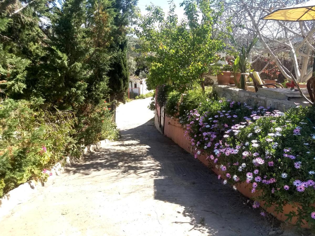 Modern 1-Bedroom With Bbq & Roof Garden Near Beach Stalos Exterior foto